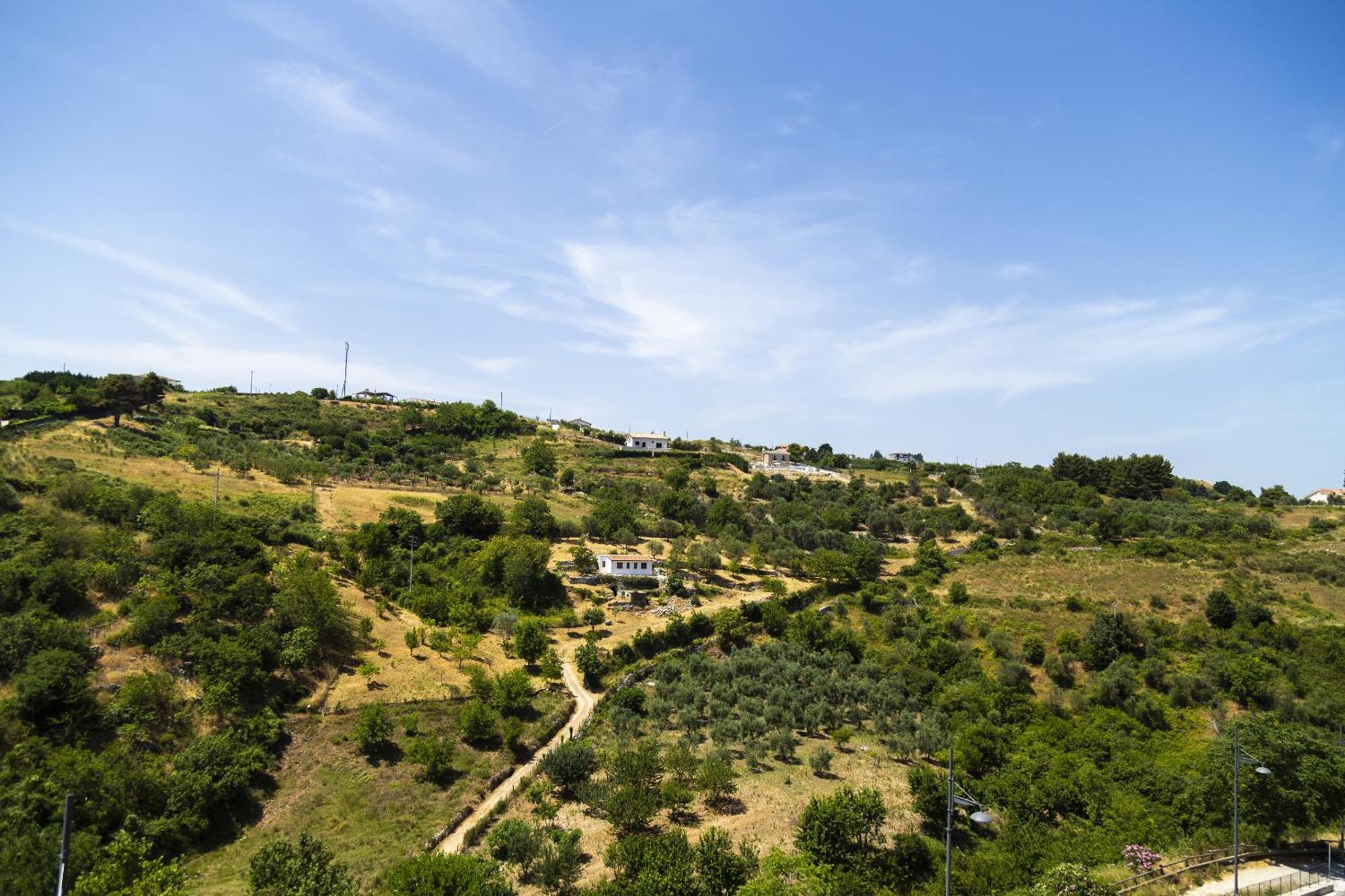 Appartement Il Pieddo à Vico Del Gargano Extérieur photo